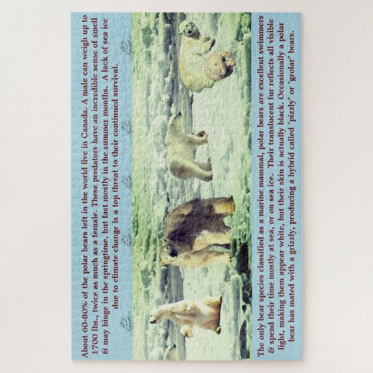 Polar Bear Fun Fakten 20"x30" - 1,014 Stück Puzzle (Vertikal)