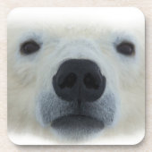 Polar Bear Getränkeuntersetzer (Vorderseite)