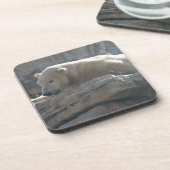 Polar Bear Getränkeuntersetzer (Linke Seite)