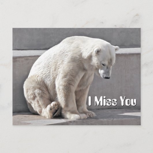 Polar Bear I Miss You Postkarte (Vorderseite)
