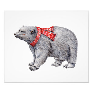 Polar Bear in Red Scarf Fotodruck