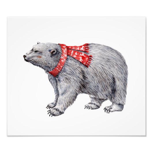 Polar Bear in Red Scarf Fotodruck (Vorne)