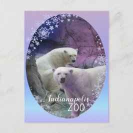 Polar Bear Indy Zoo Postkarte
