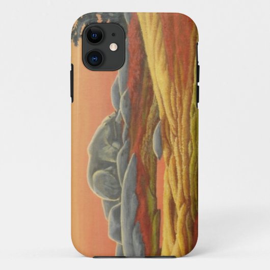 Polar Bear IPhone 5 Case Wildlife Art Bear Geschen (Rückseite)