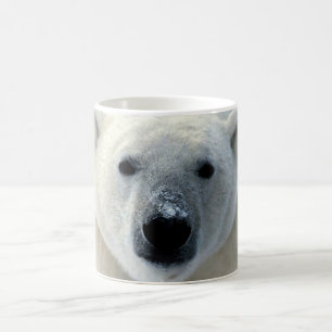 Polar Bear Kaffeetasse