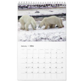 POLAR BEAR King of the Arctic Calendar 2014 1-Pg. Kalender (Jan 2026)