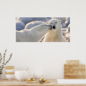 Polar Bear Kiss Poster (Küche)