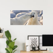 Polar Bear Kiss Poster (Heimbüro)