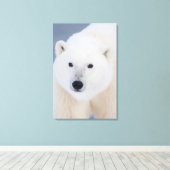 Polar Bear Leinwanddruck (Insitu (Holzboden))