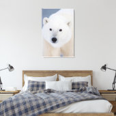 Polar Bear Leinwanddruck (Insitu (Schlafzimmer))