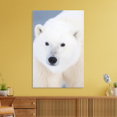 Polar Bear Leinwanddruck (Insitu (Wohnzimmer))