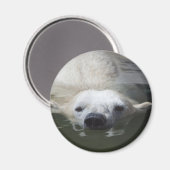Polar Bear Magnet (Vorderseite/Rückseite)