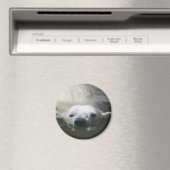 Polar Bear Magnet (In Situ (Geschirrspüler))