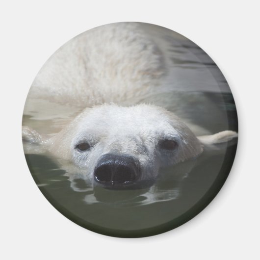 Polar Bear Magnet (Vorne)