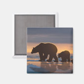 Polar Bear Magnet (Vorderseite/Rückseite)