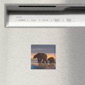 Polar Bear Magnet (In Situ (Geschirrspüler))