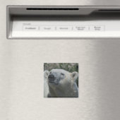 Polar Bear Magnet (In Situ (Geschirrspüler))
