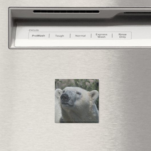 Polar Bear Magnet (In Situ (Geschirrspüler))