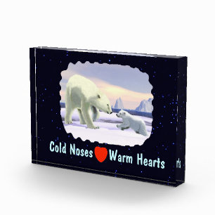 Polar Bear - Mama Nose Best Fotoblock