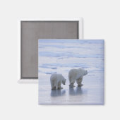 Polar Bear Mother and Cub Magnet (Vorderseite/Rückseite)