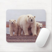 Polar Bear Mother and Cubs Photo Mousepad (Mit Mouse)