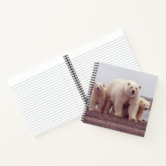 Polar Bear Mother and Cubs Photo Notizblock (Innenseite)