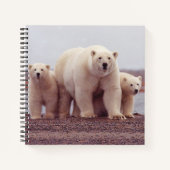 Polar Bear Mother and Cubs Photo Notizblock (Vorderseite)