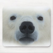 Polar Bear Mousepad (Vorne)