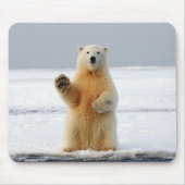 Polar Bear Mousepad (Vorne)