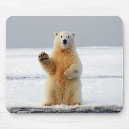 Polar Bear Mousepad (Vorne)