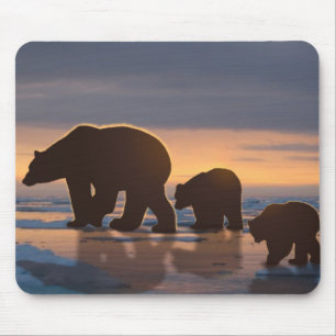 Polar Bear Mousepad