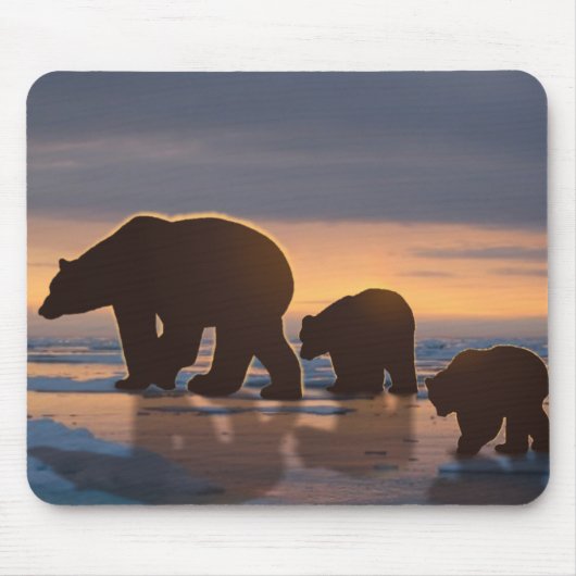 Polar Bear Mousepad (Vorne)