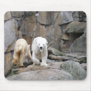 POLAR BEAR mousepad