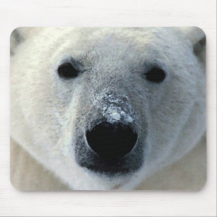 Polar Bear Mousepad