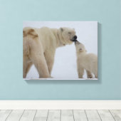 Polar Bear Mutter mit Cube Leinwanddruck (Insitu (Holzboden))