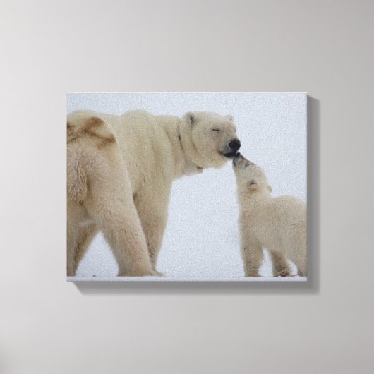 Polar Bear Mutter mit Cube Leinwanddruck (Vorderseite)