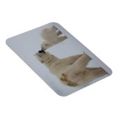 Polar Bear Mutter mit Cube Magnet (Rechte Seite)