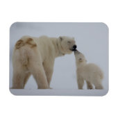Polar Bear Mutter mit Cube Magnet (Horizontal)
