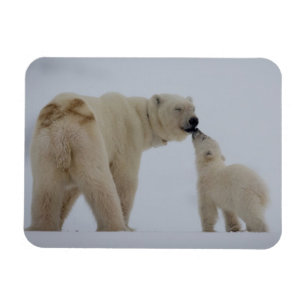 Polar Bear Mutter mit Cube Magnet