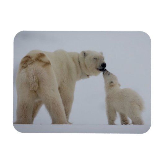 Polar Bear Mutter mit Cube Magnet (Horizontal)