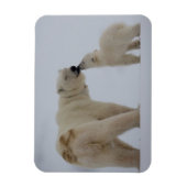Polar Bear Mutter mit Cube Magnet (Vertikal)