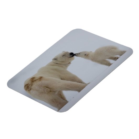 Polar Bear Mutter mit Cube Magnet (Linke Seite)