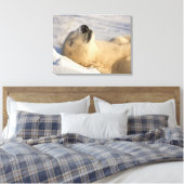 Polar Bear Nickerchen Leinwanddruck (Insitu (Schlafzimmer))