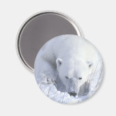 Polar Bear Nickerchen Magnet (Vorderseite/Rückseite)