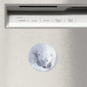 Polar Bear Nickerchen Magnet (In Situ (Geschirrspüler))
