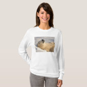 Polar Bear Nickerchen T-Shirt (Vorne ganz)