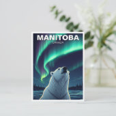 Polar Bear Nordelichter Manitoba Kanada Postkarte (Stehend Vorderseite)