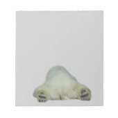 Polar Bear Notepad Notizblock (Vorderseite)