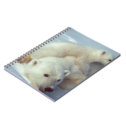 Polar Bear Notizblock (Linke Seite)