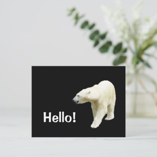 Polar Bear on Black Hello Postkarte (Stehend Vorderseite)
